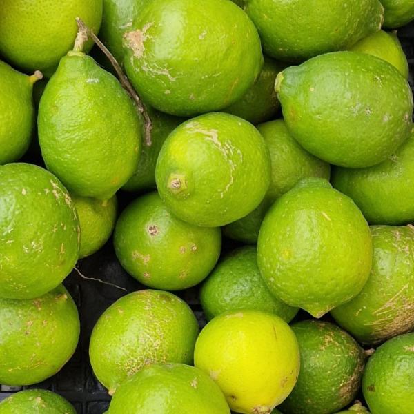 Limetten aus Sizilien